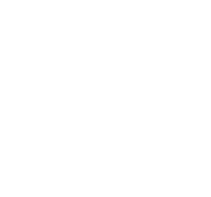 Logotip de l'Hotel Vall Esquí